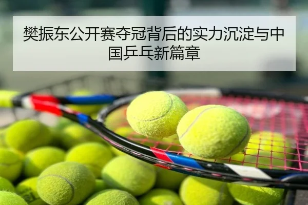 樊振东公开赛夺冠背后的实力沉淀与中国乒乓新篇章