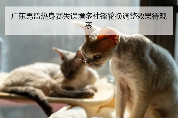 广东男篮热身赛失误增多杜锋轮换调整效果待观察