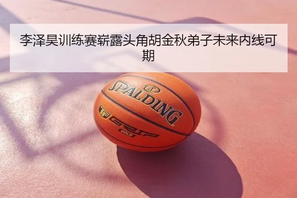 李泽昊训练赛崭露头角胡金秋弟子未来内线可期