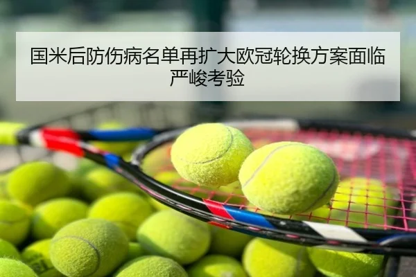 国米后防伤病名单再扩大欧冠轮换方案面临严峻考验